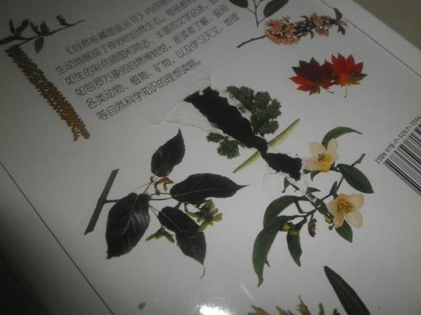 《全世界树木se+tu鉴》500多种树木全5本PDF