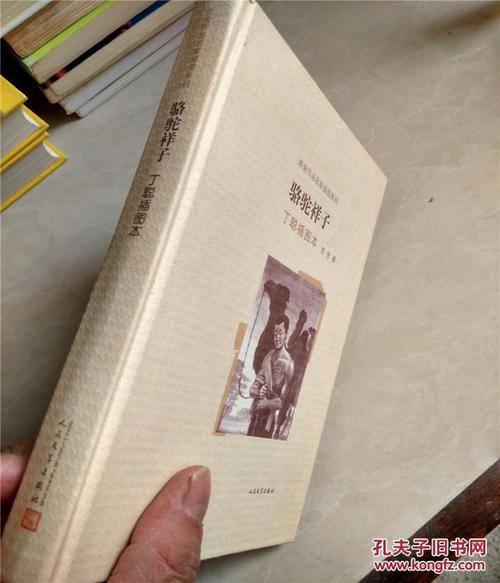 茅盾文学奖,文学巨匠老舍作品珍藏集