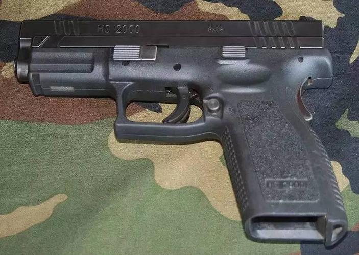 世界shou+qiang鉴赏指南珍藏版第2版PDF