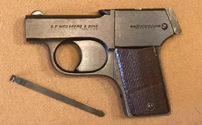 世界shou+qiang鉴赏指南珍藏版第2版PDF