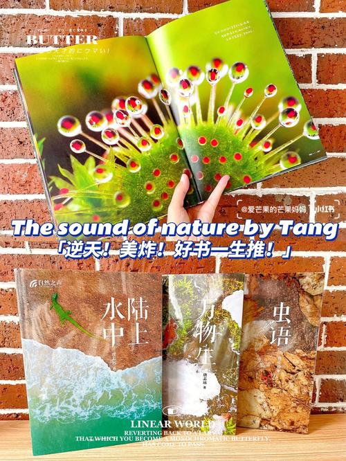 BBC自然探索系列套装共7册