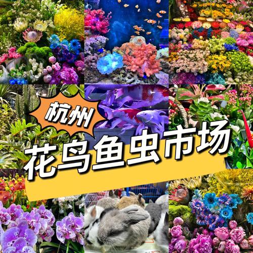 各行业电子书大全