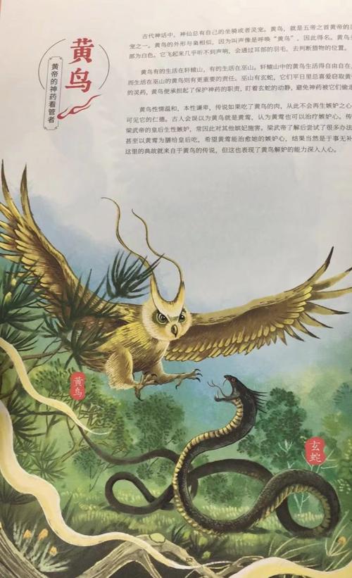 奇兽山海经动物图鉴