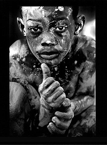 普利策奖和科普图书奖得主雷德·戴蒙德的合集