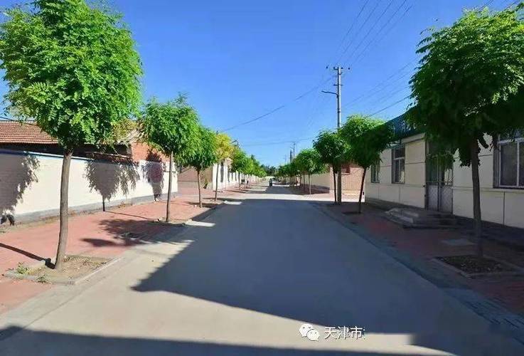 《5000年最有计谋：甄武编著》文字版PDF