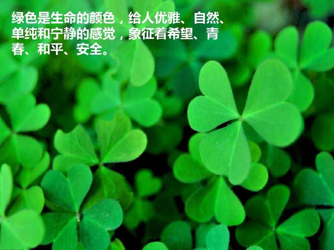 有害植物彩se+tu鉴：揭示植物生命的答案