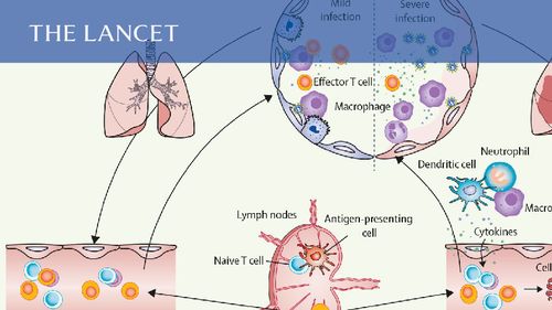 柳叶刀：2022年1月15日，第399卷，第10321期