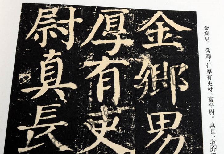 中国十大书法家墨宝全集：王羲之、颜真卿高清扫描PDF