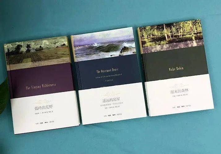 西方艺术系列绘本套装