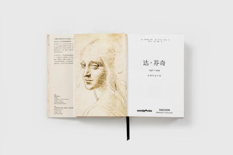 达·芬奇笔记：专家精心汇编的美国纽约物馆藏品