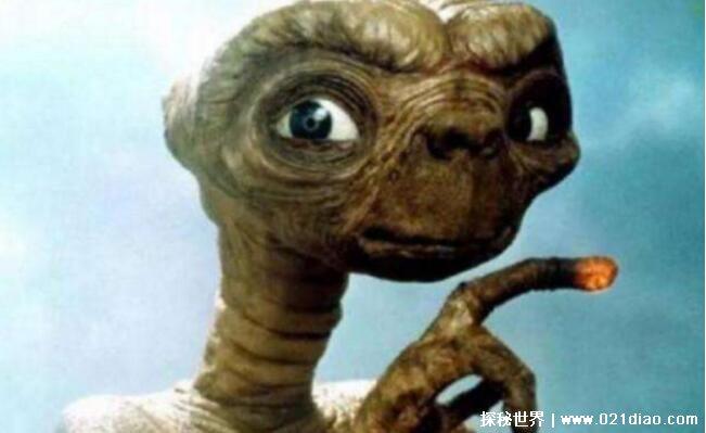 千年回望神秘探索：外星人之谜系列套装14册全精校版