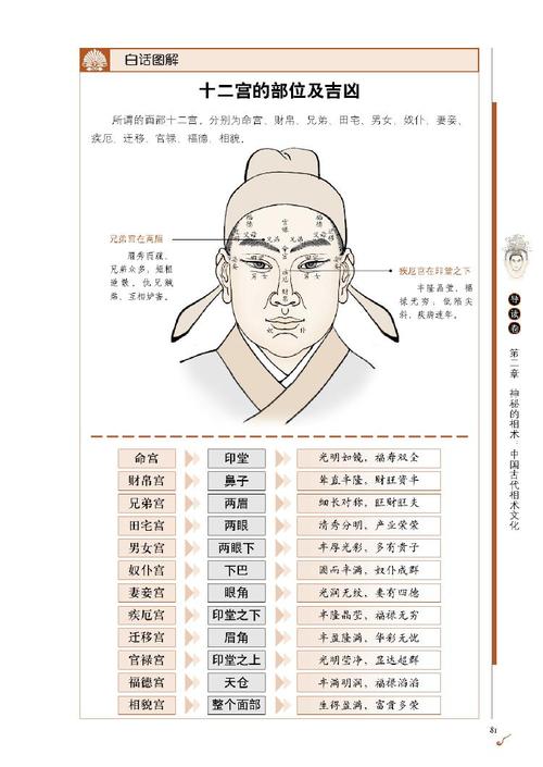 图解麻衣神相：前代命相学书籍的精华