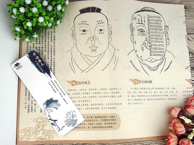 图解麻衣神相：前代命相学书籍的精华