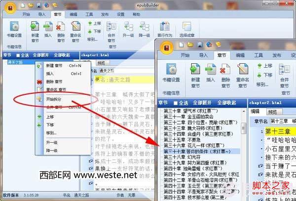 收费的epub书群展示本