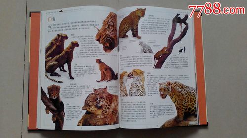 动物世界百科全书