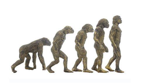 揭开社会学大师的思想精华：神秘课堂的有趣图书