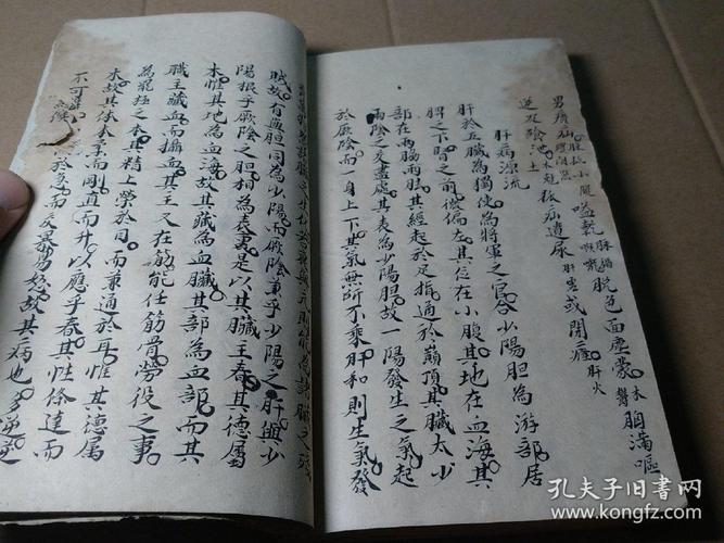 全国名老中医医案及医论精选：中华古典气功文库