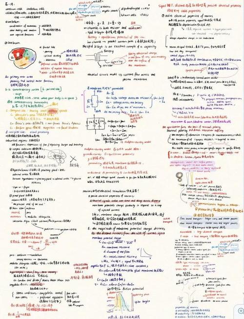 清华大学状元笔记