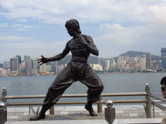 一代功夫之王：毕生武学精要