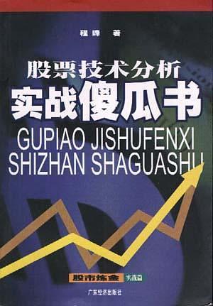 傻瓜书系列：各种入门指南