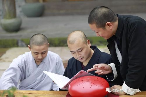 禅境丛书:寻找内心宁静的指南华章大历史:探索历史文化的精彩之旅