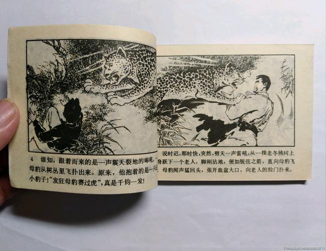 传奇武侠连环画：莲花掌的故事