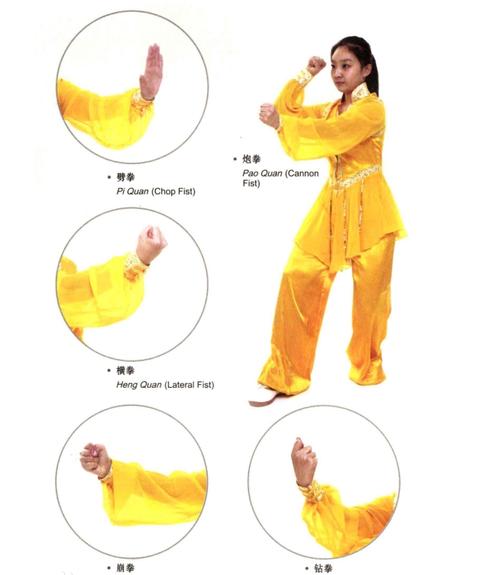 形意拳十二形精典套路分享