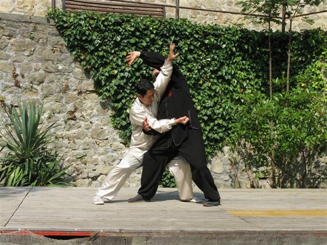 中国通背拳术分享