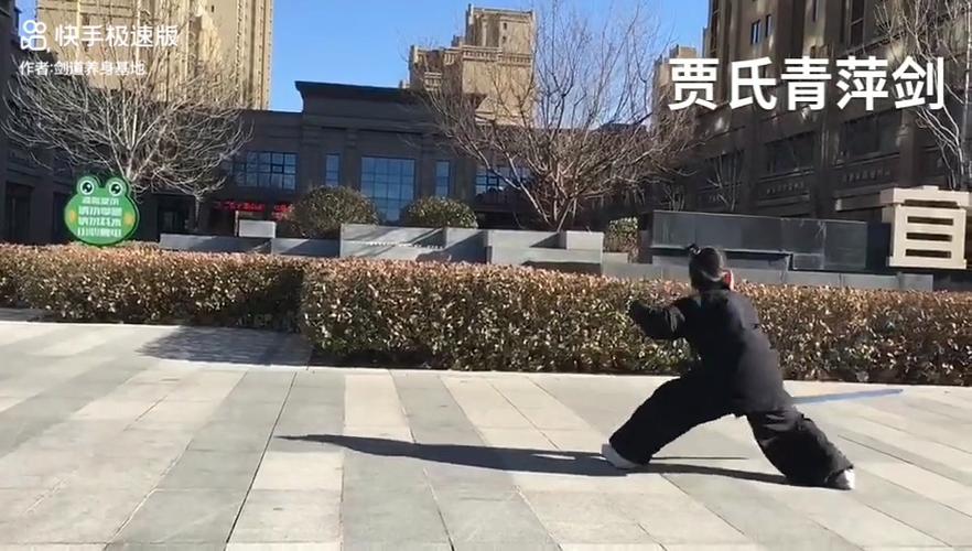 秘传贾氏青萍剑