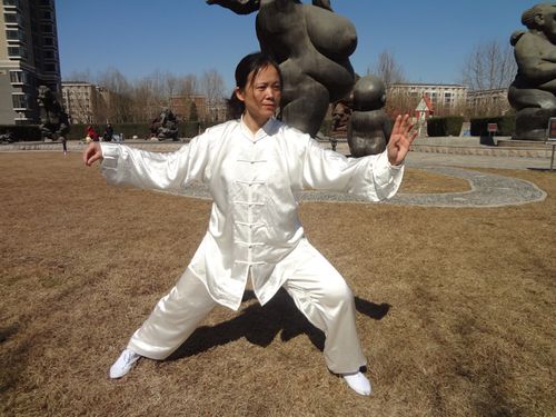 太极正宗的中华武术分享