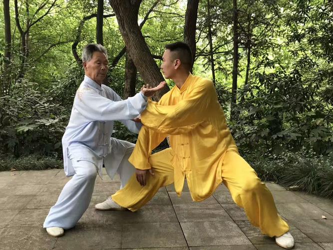 太极正宗的中华武术分享