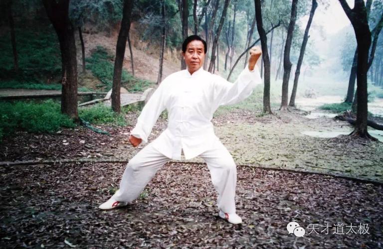 中华武术技击传真：太极推手分享