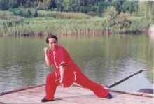 中华武术吴斌楼戳脚翻子全书