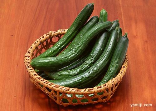 绿色健康食物的医药养生方法