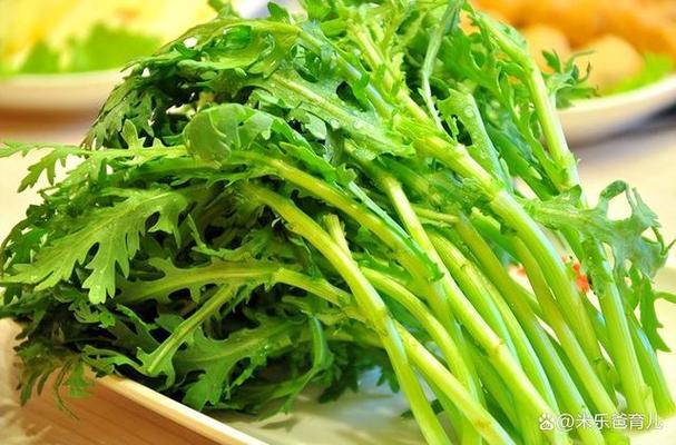 绿色健康食物的医药养生方法