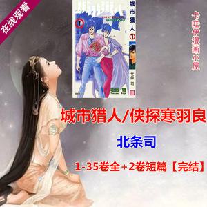 城市猎人第35卷
