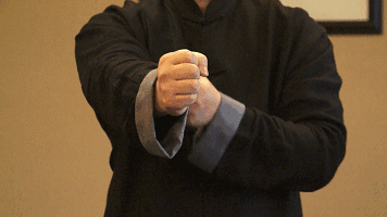 百日速成铁砂掌功