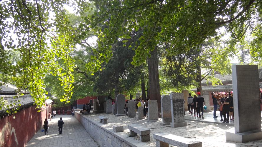 少林寺解密：千年之迷公布的点穴da+fa