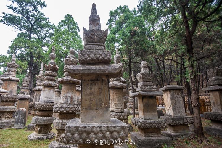 少林寺解密：千年之迷公布的点穴da+fa