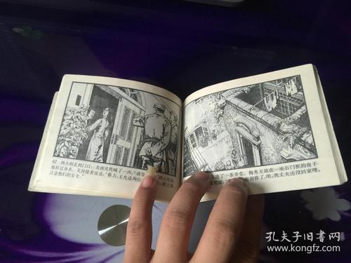 蔷薇花案件连环画全系列高清收藏分享