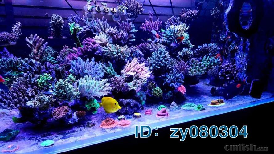 现代电气传动，第2版