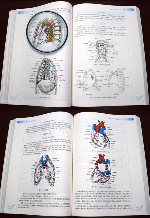 医学学习资源PDF