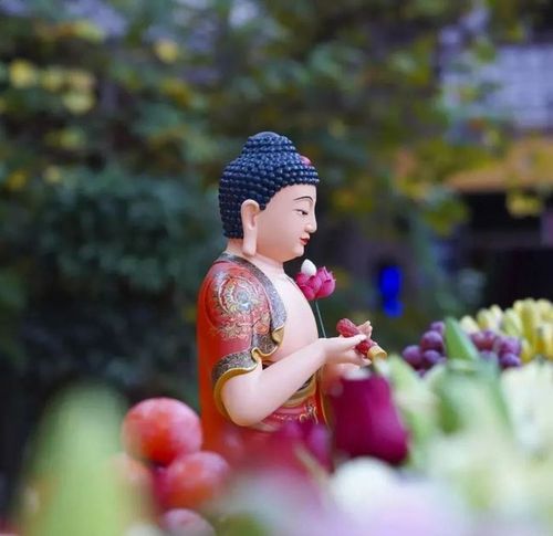 印光法师的文集：白话翻译