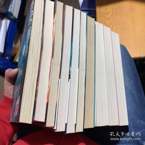 蔡骏作品集-天机