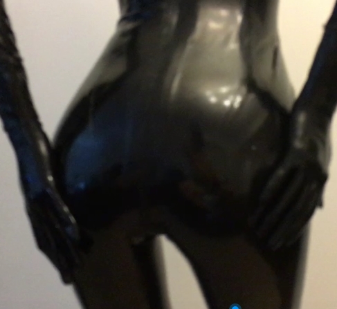 精美猫咪图片合集！3.2G高清图片，1890P超高清体验，41.4G视频，156V全方位呈现，立即下载！