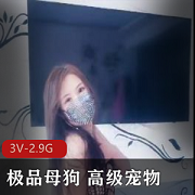 高级宠物狗链教育，让您的小狗远离失眠问题！