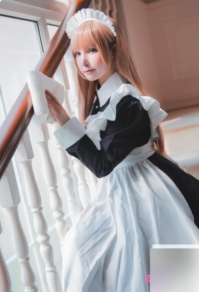 《猫咪的薄禾写真，四套精美收藏》