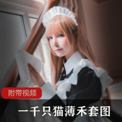 《猫咪的薄禾写真，四套精美收藏》