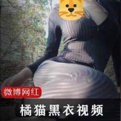 “时尚猫主题:独特黑条纹衣,为你的时尚造型增添一抹橘猫的灵动魅力!”
