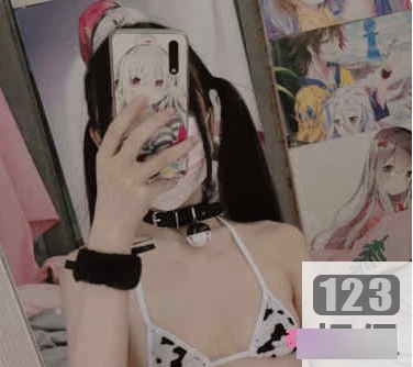 限量发售25套86V+直播33.6G，绝版合集，社保姬，小齿幼喵全收录！